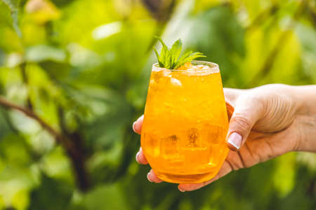 Woman hand holding orange drink with ice on summer sunny garden background. Fresh cocktail drinks with ice fruit and herb decoration. の写真素材