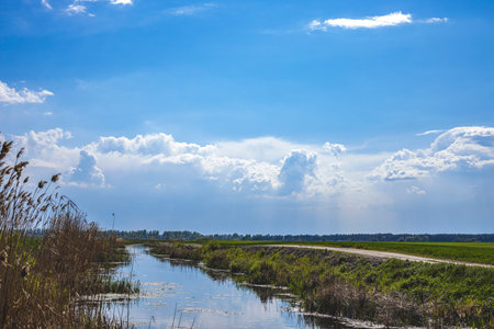 Beautiful summer landscape with little river and wheat fields under stunning sky background....
