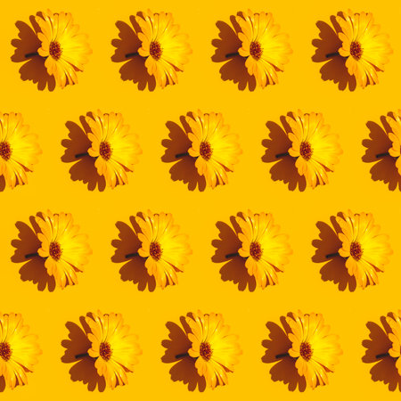 Diagonal pattern from marigold calendula flower on bright yellow background. Creative minimalist...