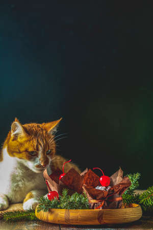 Sweet chocolate muffins decorated cherry in brown paper with ribbon on wooden bowl surrounded pine branches. Cute red white cat in the backgroundの写真素材