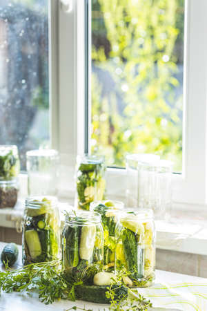 Fresh cucumbers ready to be pickled. Marinated preserving jars. Homemade white and green cucumber  pickles with basil, fresh parsley, dill, spices near window in the sunny summertime.の写真素材