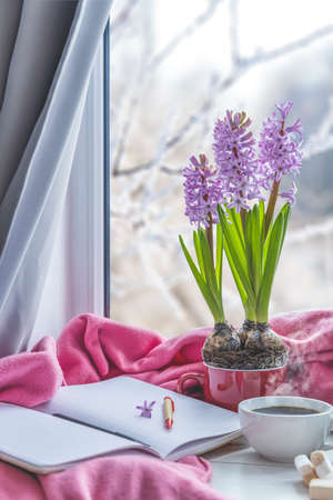 Early spring still life scene. Cup of coffee and marshmallow, opened notebook, pink plaid, candles on windowsill. Cozy Easter, vintage feminine styled photo. Floral composition with hyacinth flowersの写真素材