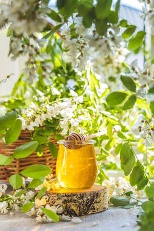 Sweet honey jar surrounded spring acacia blossoms. Sunny light, shallow depth of the field.の写真素材