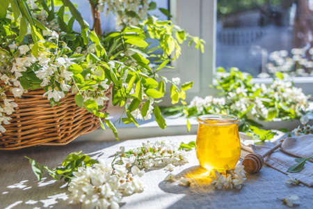 Sweet honey jar surrounded spring acacia blossoms. Sunny light, shallow depth of the field.の写真素材