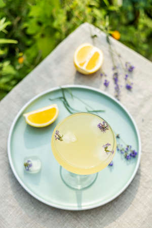 Top view Pompadour glass of lavender lemonade with cube ice with lavender flowers. Table in summer garden.の写真素材
