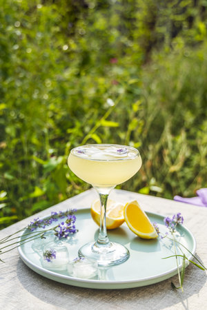 Pompadour glass of lavender lemonade with cube ice with lavender flowers. Table in summer garden.の写真素材