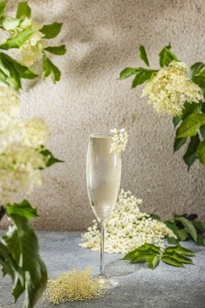 Elder Fashion Royal Cocktail in Champagne glass surrounded by ingredients and bar tools on gray table surface. Refreshing drink ready for drinking.の写真素材