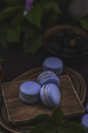Violet macarons and blackberries on dark green backgroundの写真素材