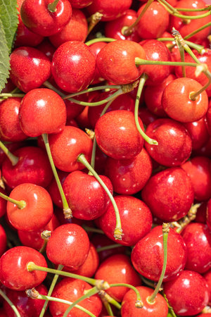 Ripe red cherries with green stems create a vibrant and appetizing display, perfect for showcasing...