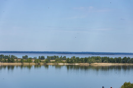 Scenic view of a wide river with green trees along the banks, birds soaring in the clear blue sky, creating a peaceful natural landscapeの写真素材