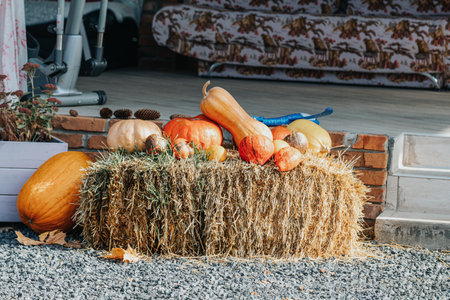 Colorful pumpkins and gourds resting atop a hay bale create a charming and festive autumn display, perfect for seasonal celebrationsの写真素材