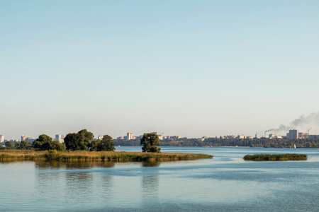 Lush vegetation growing on islets in the middle of a river with a cityscape in the distance under a clear skyの写真素材