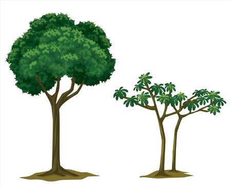 big trees for garden decorationのイラスト素材