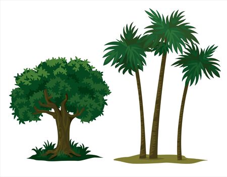 big trees for garden decorationのイラスト素材