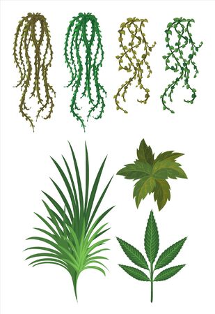 different types of plants for gardenのイラスト素材