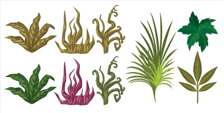 different types of plantsのイラスト素材