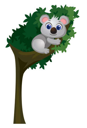 cute koala cartoonのイラスト素材