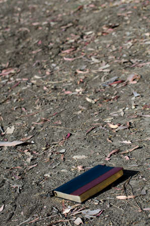 Leather bound book in the dirt with leaves.の写真素材