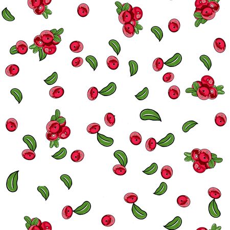 Colorful seamless wallpaper with cranberry branches, leaves and berries on a white background. Floral raster illustration.の写真素材
