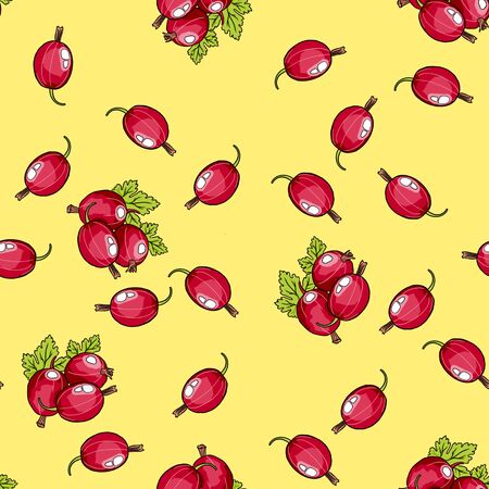 Colored gooseberries seamless pattern. Seamless pattern with colored hand draw graphic gooseberries.の写真素材