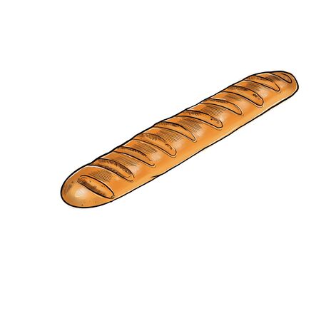 Bread. French baguette. Misty illustration.の写真素材