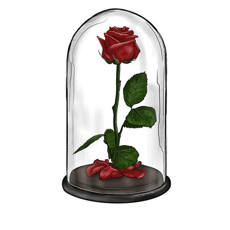 Illustration of a red rose in a glass flask.の写真素材