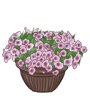 Illustrator of flower In Potsの写真素材