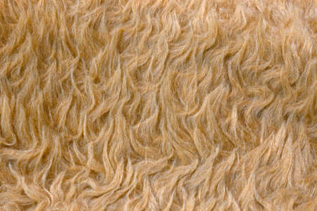 Ragged material in the full frameの写真素材