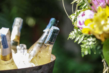 Bottles of wine on iceの写真素材