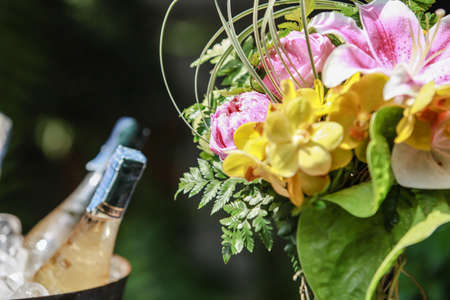 Bottles of wine on iceの写真素材