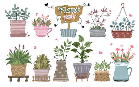 Vector collection of potted plants It can be adapted to a wide variety of applications, such as decorating cards, digital prints, home decorations, paper patterns, postcards, and more.のイラスト素材