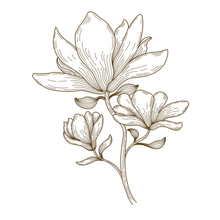 Vector floral line art illustration designed in brown tone doodle style on white background for decorating cards, wedding cards, scrapbooks, covers, clothing patterns and moreのイラスト素材