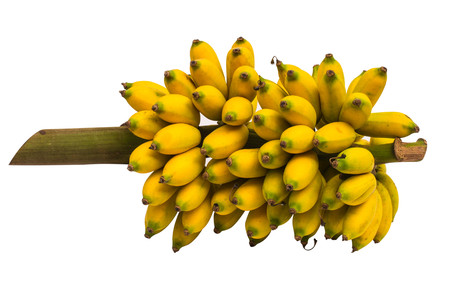 fruit  ripe sweet health yellowの写真素材