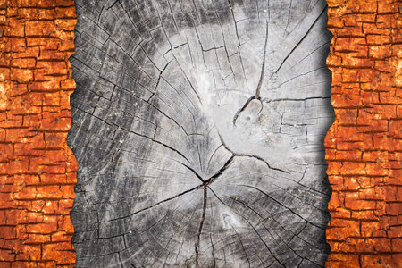 cut wood texture crack abstractの写真素材