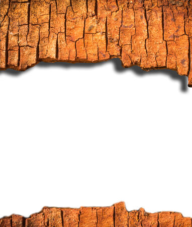 The crack bark pattern backgroundの写真素材
