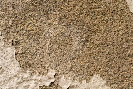 Peel color on the concrete backgroundの写真素材