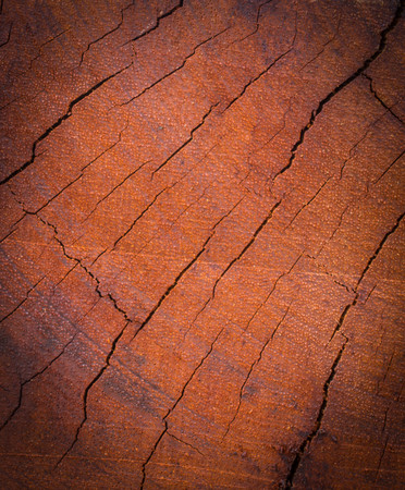 The surface with the saw is notchedの写真素材