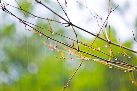 rain background