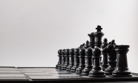 Black chess side view on a black background