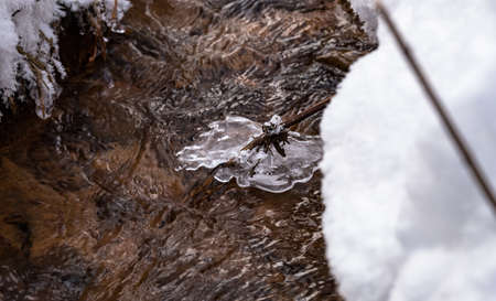 Winter creek with pieces of ice in the forestの写真素材