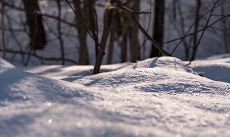 Snow close upの写真素材