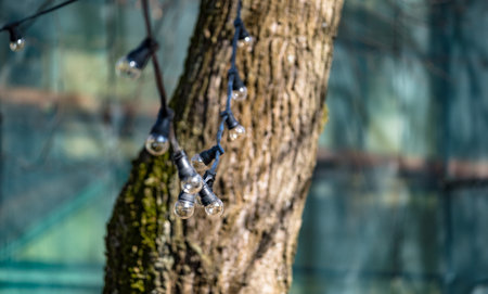 Garland of lamps on a tree in perspective 2018の写真素材