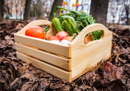 Wooden box with vegetables close-up of garlic 2018の写真素材