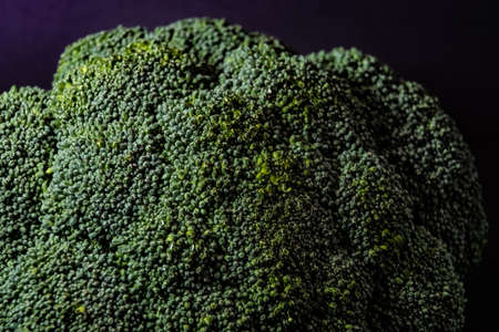 Broccoli cabbage on a black background close-upの写真素材