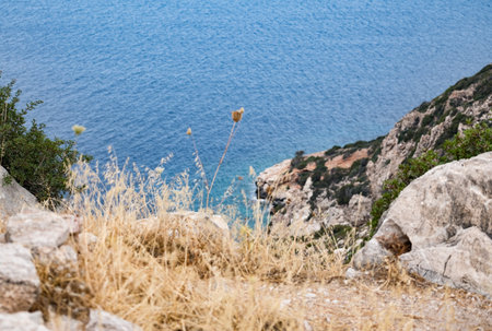 Stone seashore in the background of mountains and forests 2018