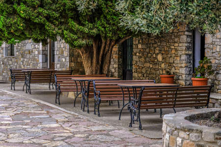 Tables and benches under the age-old tree. Cafe 2018の写真素材