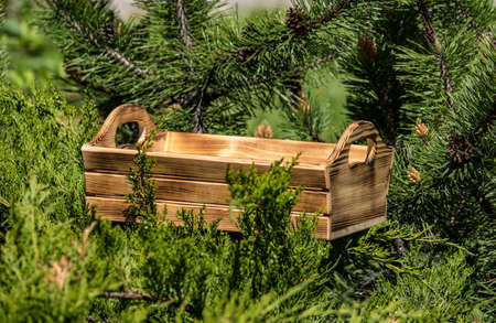 Burnt wood box for tools or products 2018の写真素材