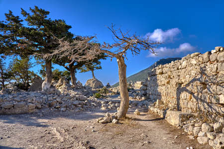 Trees and cairns inside the Monolithos castle in Greeceの写真素材
