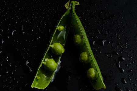 Fresh pea close-up in water drops on a black backgroundの写真素材