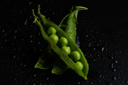 Fresh pea close-up in water drops on a black backgroundの写真素材